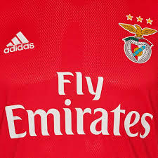 ► football kit body/training/sl benfica‎ (9 f). Home Benfica 20 21 Kit Football Shirt History