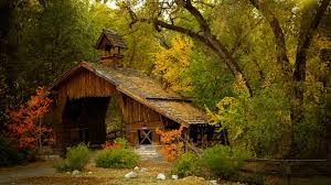 Every image can be downloaded in nearly every resolution to achieve flawless performance. Nature Wallpaper House