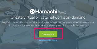 Puedo conectarme a mis otros servidores, pero no a éste. How To Setup A Minecraft Server With Hamachi Step By Step