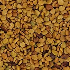 Image result for Cicer