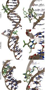 In art street, the comment of. Synthesis Crystal Structure Electrochemical Behavior And Docking Molecular Of Poly Nuclear Metal Complexes Of Schiff Base Ligand Derived From 2 Amino Benzyl Alcohol Sciencedirect