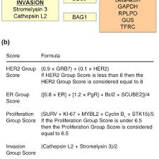 Twenty One Gene Panel And Calculation Of Recurrence Score