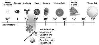 Maybe you would like to learn more about one of these? Relative Size Of A Nanometer Download Scientific Diagram