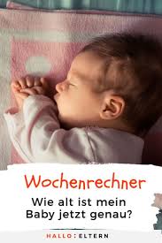 Wochenrechner Wie Alt Ist Mein Baby Entwicklungsschub Baby Kleinkindentwicklung Baby