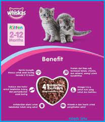 Untuk tumbuh secara stabil, anak kucing membutuhkan makanan yang mengandung protein. Teknik Kita Makanan Untuk Anak Kucing 1 2 3 4 Bulan