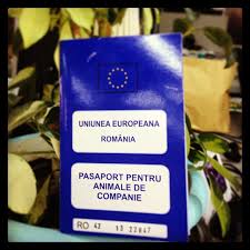 Producătorii agricoli din republica moldova își vor exporta produsele în ucraina în baza valorii reale a acestora și fără costuri suplimentare. Cerinte Pentru Intrarea In Alte Tari Fan Club Beagle