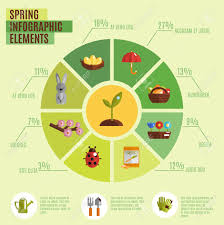 Spring Infographics Set With Pie Chart And Season Symbols Elements