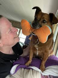 Life Is Better With A Dog