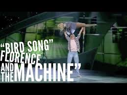 Bird Song Florence And The Machine Meaning The Bird Song Tumblr