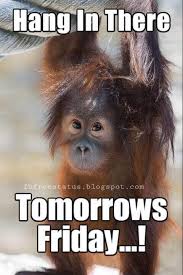 Pin On Funny Memes Pictures