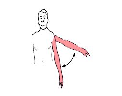 Shoulder abduction and adduction exercises work the muscles at the back of your shoulder and your upper back. Abduction And Adduction