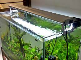 Cara setting mini aquascape tank ukuran 30 cm bagi untuk pemula tapi budget minim bisa di coba contains the procedure for making a 20 cm nano low tech aquascape without filter, without co2 injection aquascape tema natural style , dengan ukuran 40x30x30 cm , lebih terlihat deep. Aquascape Ideas Aquascape Tank 50 Cm