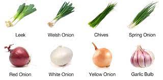 21 its close relatives include the garlic, scallion, leek, chive, and chinese onion. Growing Onions And Leeks In The City Diary Of A Brussels Kitchen Garden