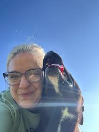 Cat is mad after trimming