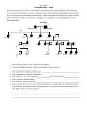 Female, unaffected female, affected male, unaffected male, affected Adapted Pedigree Worksheet Doc Green Hair Pedigree Worksheet Simple On The Planet Dyejob Green Hair Is A Recessive Trait Great Grandma And Great Course Hero