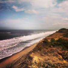 Birds Of Cape Cod National Seashore Cape Cod National Seashore In Eastham Ma With Images Places To Go Cape Cod Travel Usa
