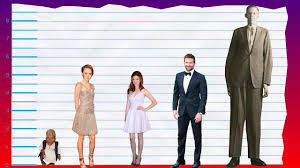 Not the bread i'm eating. How Tall Is Saoirse Ronan Height Comparison Youtube