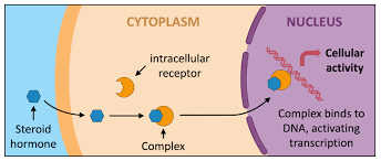 Signal Transduction