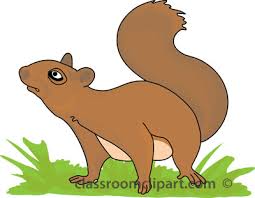 Check spelling or type a new query. Squirrel Clipart Free Clipart Images Clipartix Cliparting Com