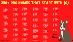 We hope you will find just the right female dog name for your pet. Dog Names That Start With G For Girl And Boy Dog