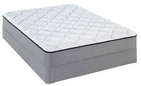 Joyner Plush Twin Mattress Only Twin Mattress Set Firm Mattress Mattress