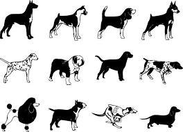 Black And White Boxer Dog Head Silhouette Dog Breed Silhouette Vector Clip Arts Free Download Svg Files Dog Vector Dog Silhouette Silhouette Vector
