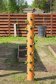 These tower garden ideas will give your vertical spaces some beautifying revamp. Strawberry Tower All The Top Tips