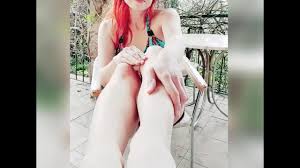 Greta cutefeet fox - csko.sk