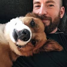 Chris Evans with his dog