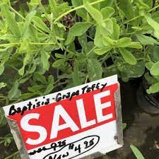 Maybe you would like to learn more about one of these? Bob Scott Nursery 12 Photos Nurseries Gardening 10116 W Wilshire Yukon Ok Phone Number Yelp