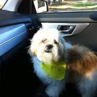 Pet lodge pet resort reviews. Pet Lodge Pet Resort Pet Store