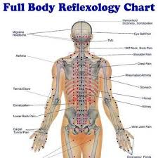 Full Body Reflexology Chart Reflexology Massage