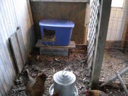 Plastic is a nice compromise between wood and plastic in terms of price and sturdiness. Diy Plastic Tote Chicken Nest Box In The Coop Youtube