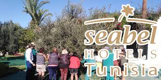 En Video Vivez L Ambiance De La Cueillette Des Olives Au Seabel Hotels