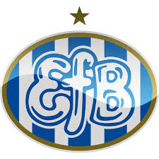 Denmark national football team logo machine embroidery design for instant download. Danish Superliga Hd Football Logos