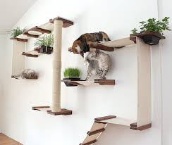In this article, we'll go deep into which qualities make a great. 10 Best Cat Trees For Spoiled Felines 2020 Reviews