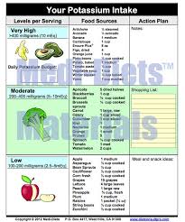 High Potassium Foods List Pdf Medi Diets Products Diet