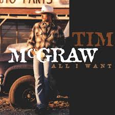 Maybe you would like to learn more about one of these? I Like It I Love It Song By Tim Mcgraw Spotify