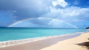 I heard the road to Stingray City is rough, how can I arrange to get there  by water?