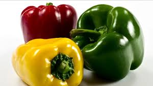 Image result for Capsicum