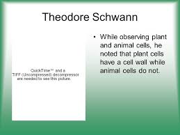 Maybe you would like to learn more about one of these? Cell Structure Function Ppt Download