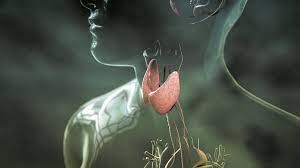 Hashimoto Morbus Basedow Wenn Die Schilddruse Verruckt Spielt Gesundheit Br Fernsehen Fernsehen Br De