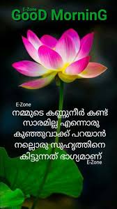 Pin By Eron On Good Morning Malayalam Good Morning Quotes Good Night Blessings Good Morning Flowers