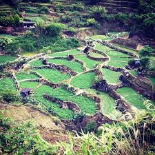 The cameron highlands are in pahang, west malaysia. Page Not Found Cameron Highlands Ipoh Malaysia Malaysia