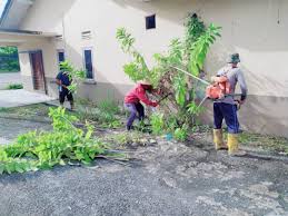 Lembaga pertubuhan peladang (lpp) adalah sebuah badan berkanun di bawah kementerian pertanian dan industri asas tani malaysia. Kakitangan Kada Di Pkj Lembaga Kemajuan Pertanian Kemubu Facebook