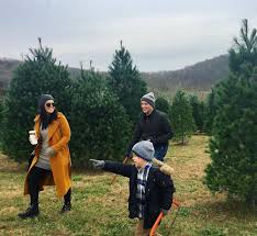 Most tree farms provide a saw to cut down the tree and twine to tie it to the top of the car to transport home. 11 Places To Find The Perfect Christmas Tree Near St Louis