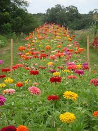 Pin On Making Your Outdoor Area Special