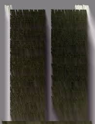 Prayer Helps Archives - Jodie Berndt