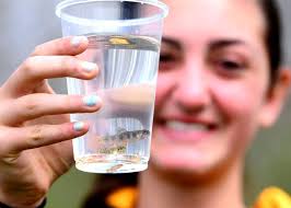 Pictures: Northwestern Lehigh Middle School trout release
