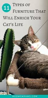 April 10 at 8:43 am · i've been so blessed to have amazing fosters who exhaust themselves for these babies just as much as i do. 330 Pawsome Projects Ideas Diy Stuffed Animals Diy Dog Stuff Pawsome